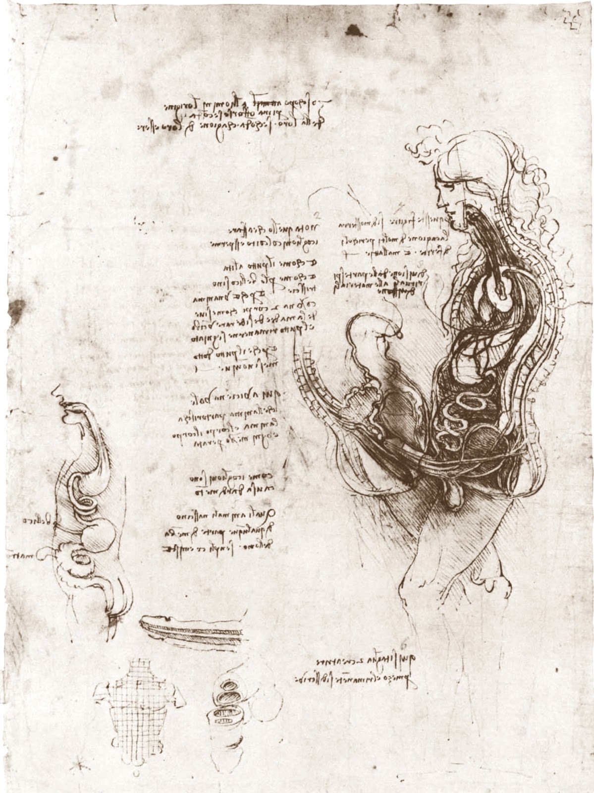 Leonardo+da+Vinci-1452-1519 (772).jpg